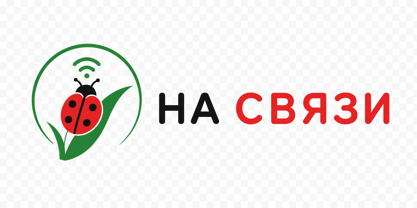 На Связи